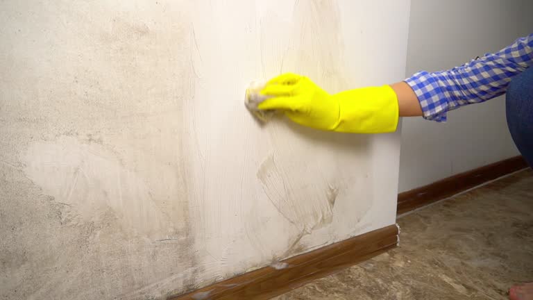 Best Mold Prevention Services  in Meeker, OK